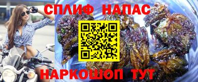 сатива Мариинск